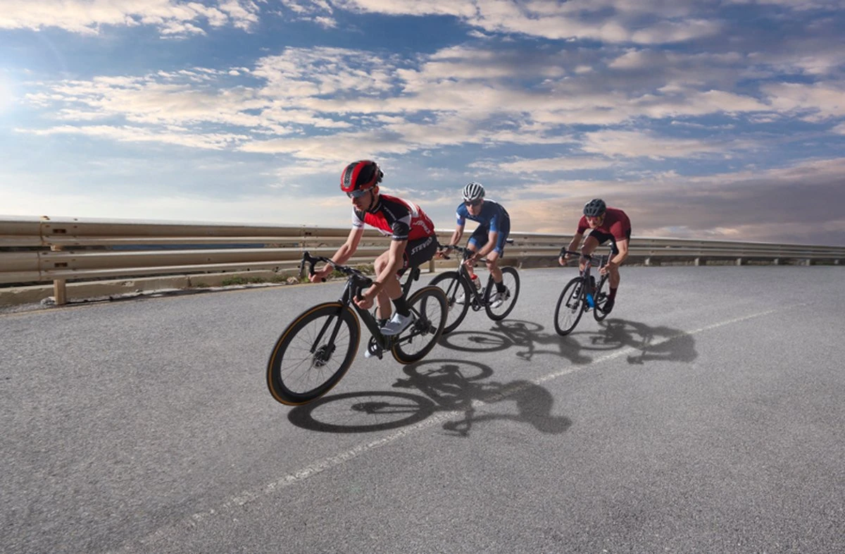 Garmin Edge 530 - Fietscomputer - Afbeelding 12